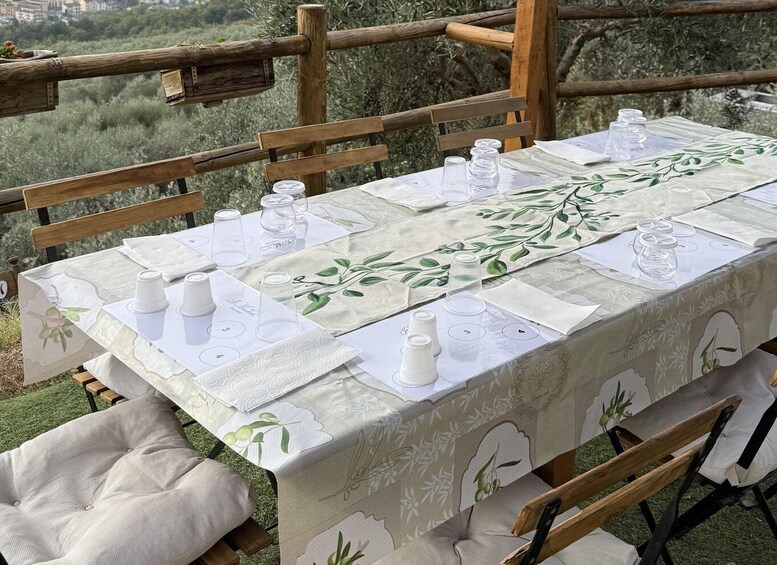 Picture 4 for Activity Olive Oil Mill Tour and Tasting in Florence 5
