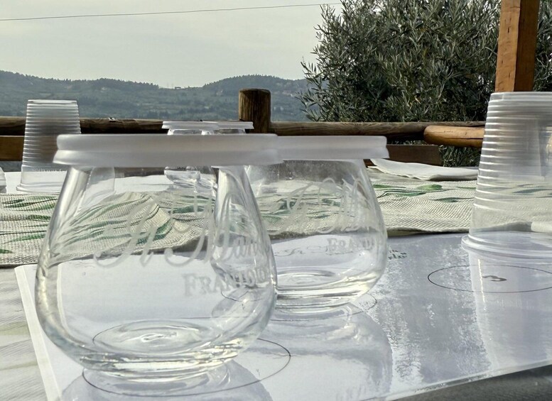 Picture 1 for Activity Olive Oil Mill Tour and Tasting in Florence 4