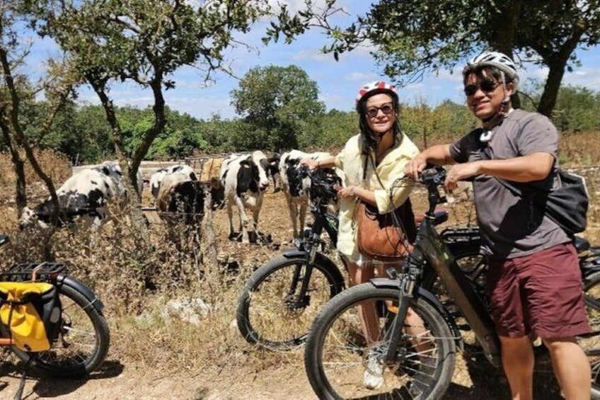 Gioia del Colle E-Bike Tour and Mozzarella Tasting 1