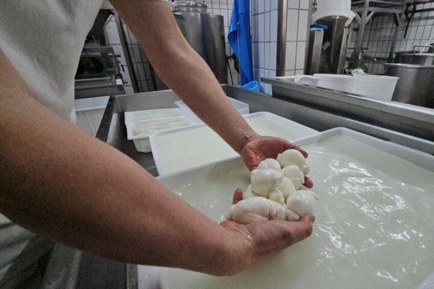Gioia del Colle E-Bike Tour and Mozzarella Tasting 4