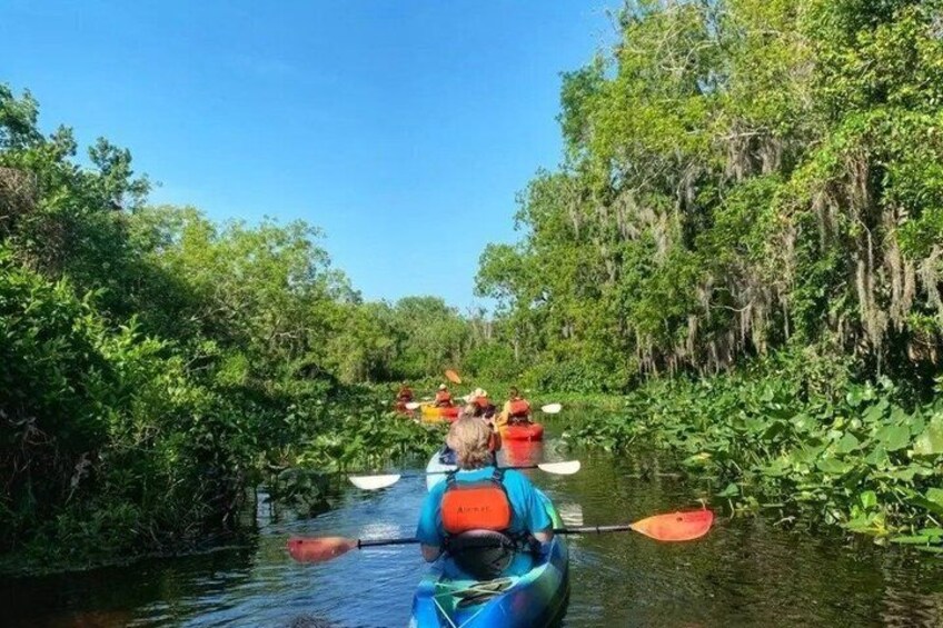 Guided Kayak Tour at Blue Spring 1