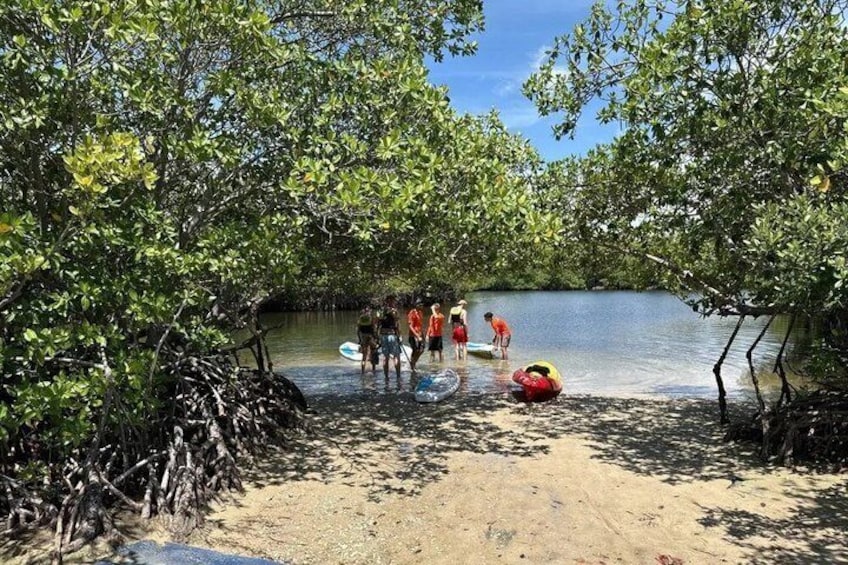 Guided Eco Kayak Tour at Dania Beach 2