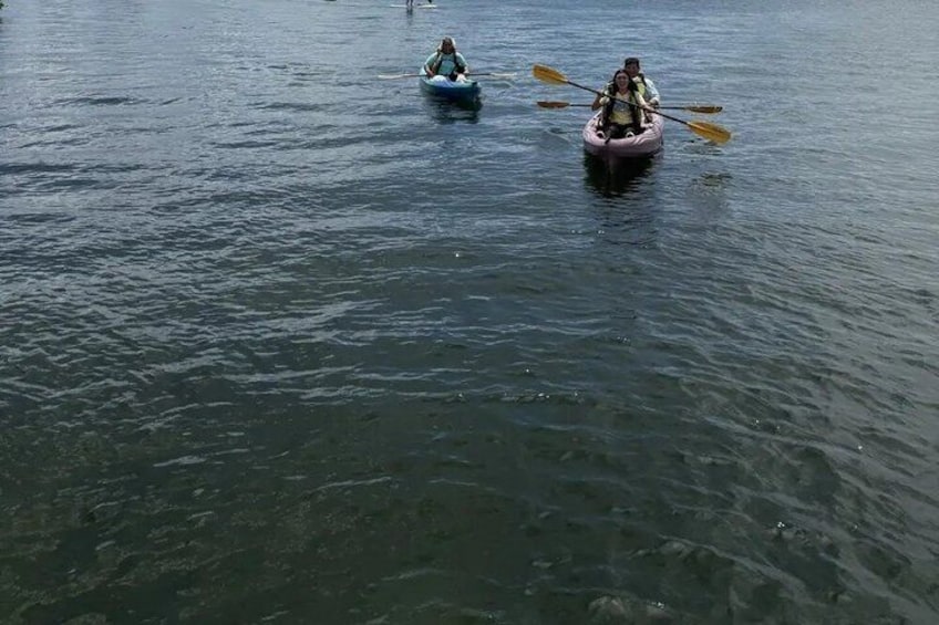 Guided Eco Kayak Tour at Dania Beach 3