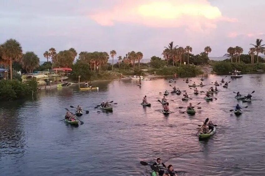 Guided Eco Kayak Tour at Dania Beach 1