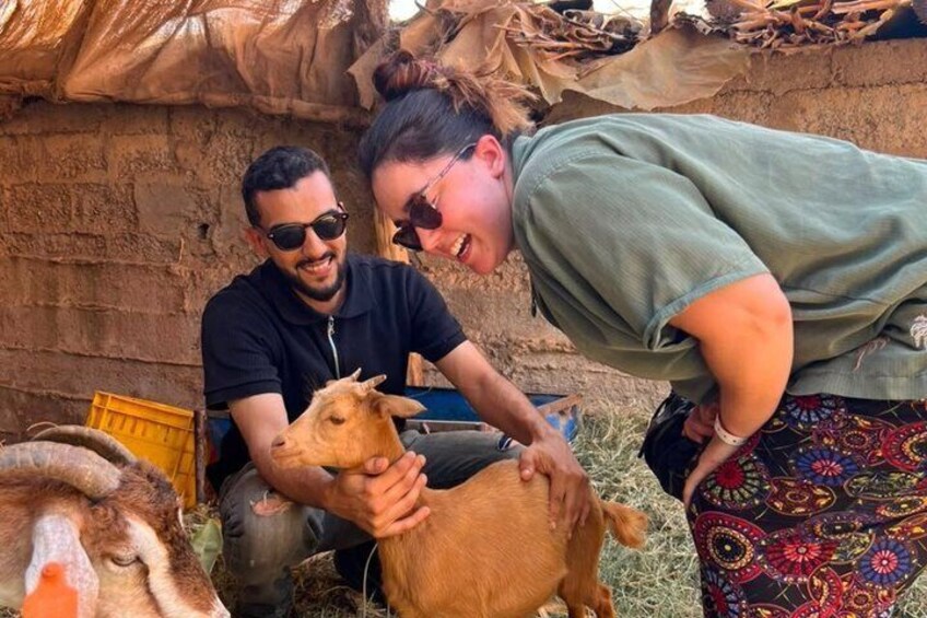 Day at an Export Orange and Banana Farm with Animals 2