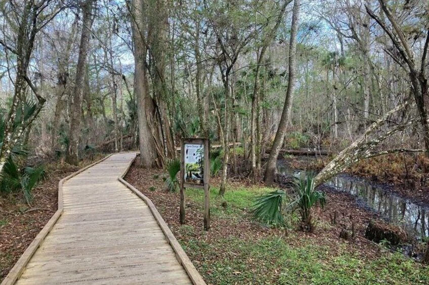 Guided Hiking Tour at De Leon Springs 3