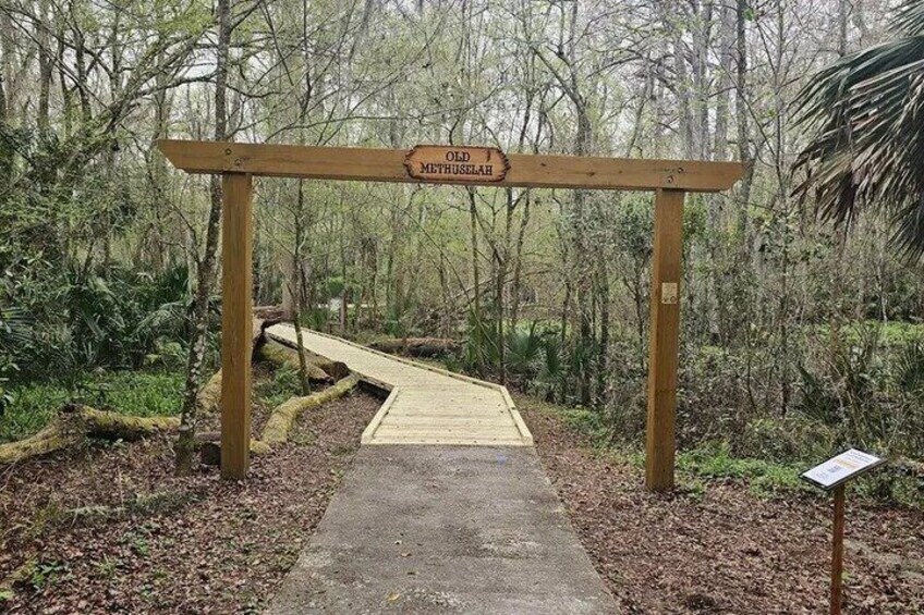 Guided Hiking Tour at De Leon Springs 1