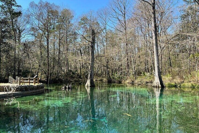 Guided Hiking Tour at De Leon Springs 2