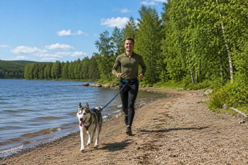 Guided Husky Hike in Finnish National Park 2