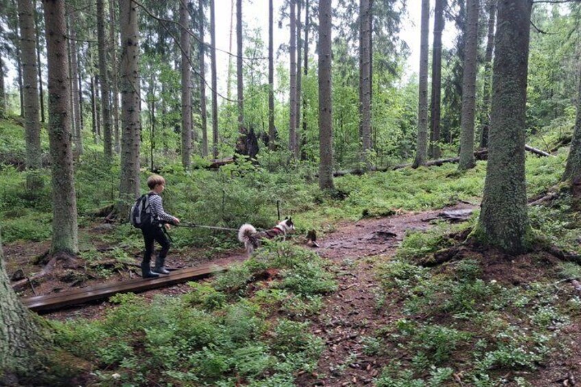 Guided Husky Hike in Finnish National Park 5