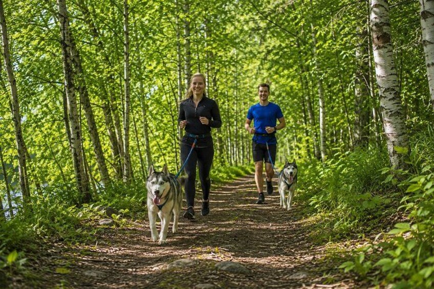 Two people jogging on a forest trail with a dog. 1