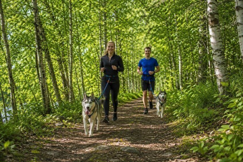 Guided Husky Hike in Finnish National Park 1