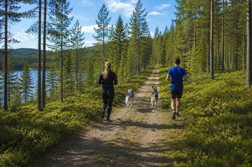 Guided Husky Hike in Finnish National Park 4