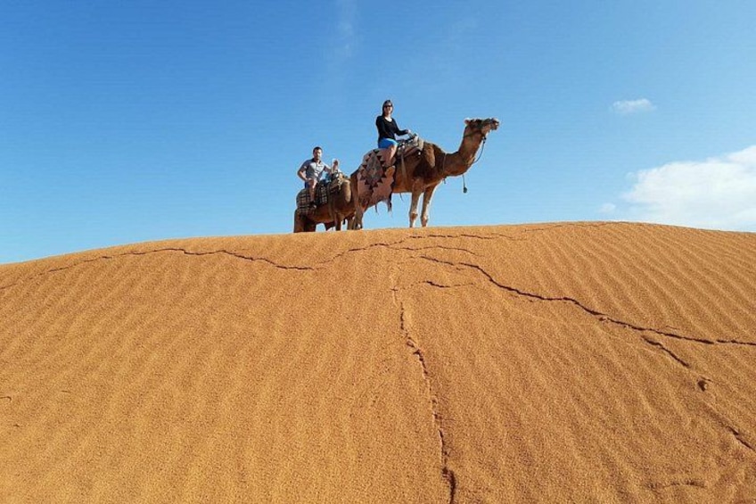 A camel with a rider on a sand dune under a clear sky. 3