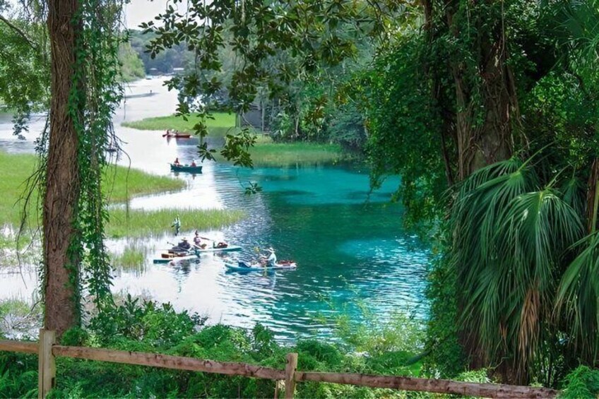 Guided Kayak Tour at Rainbow Springs State Park 1