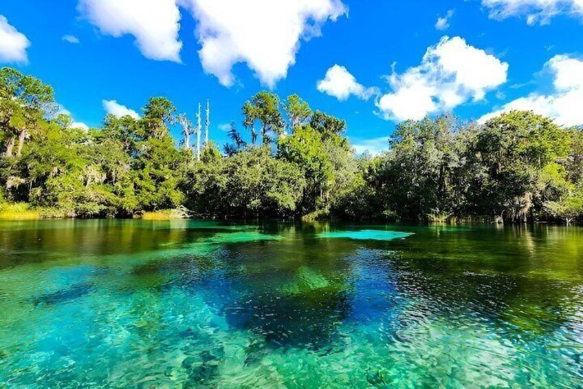 Guided Kayak Tour at Rainbow Springs State Park 5