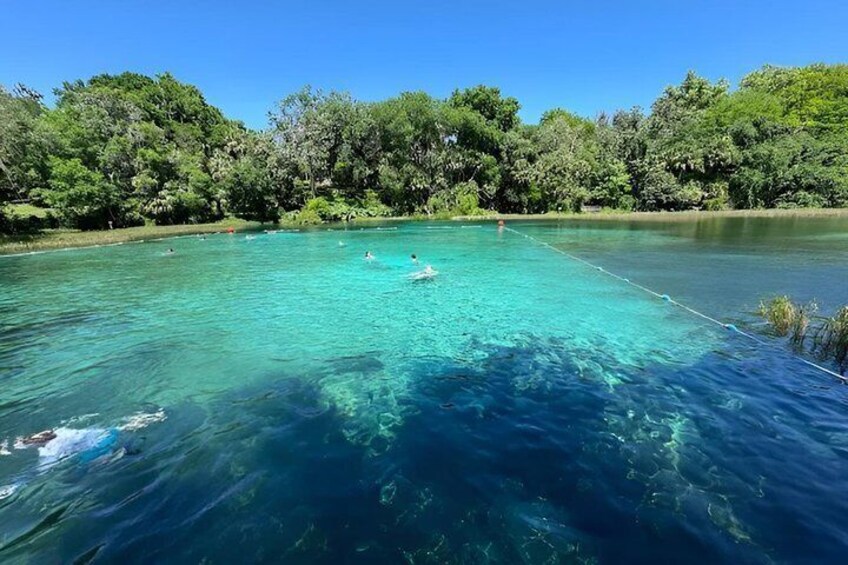 Guided Kayak Tour at Rainbow Springs State Park 3