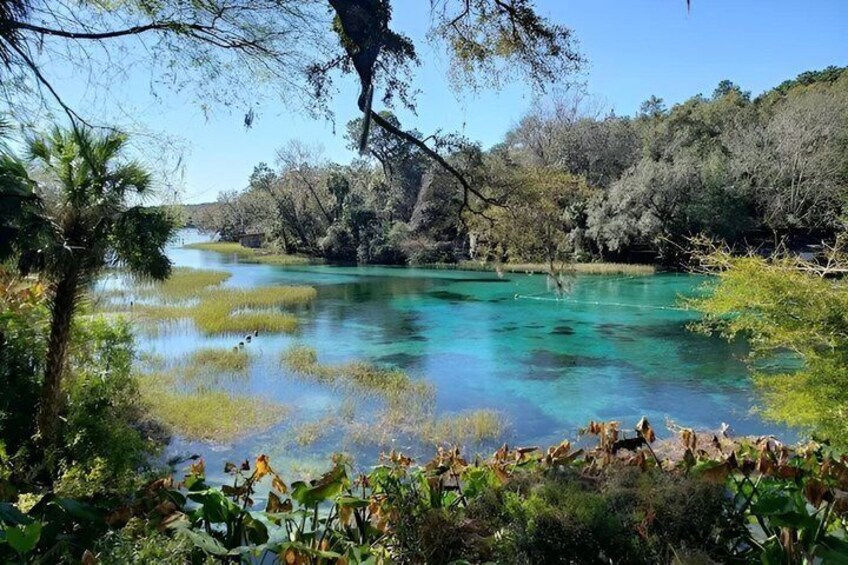 Guided Kayak Tour at Rainbow Springs State Park 4