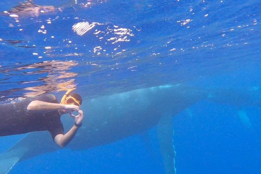 A person swimming underwater with a large whale in the background. 4