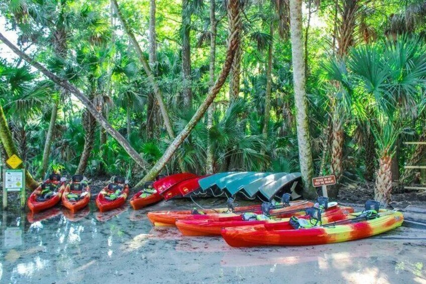 Kayak Adventure Tour Guided at Wekiwa Springs 3