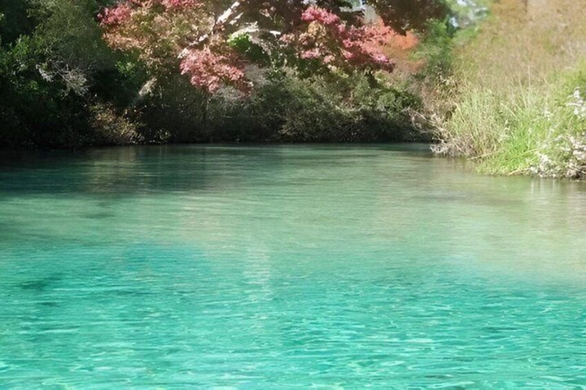 Single Guided Kayak Tour at Weeki Wachee 3