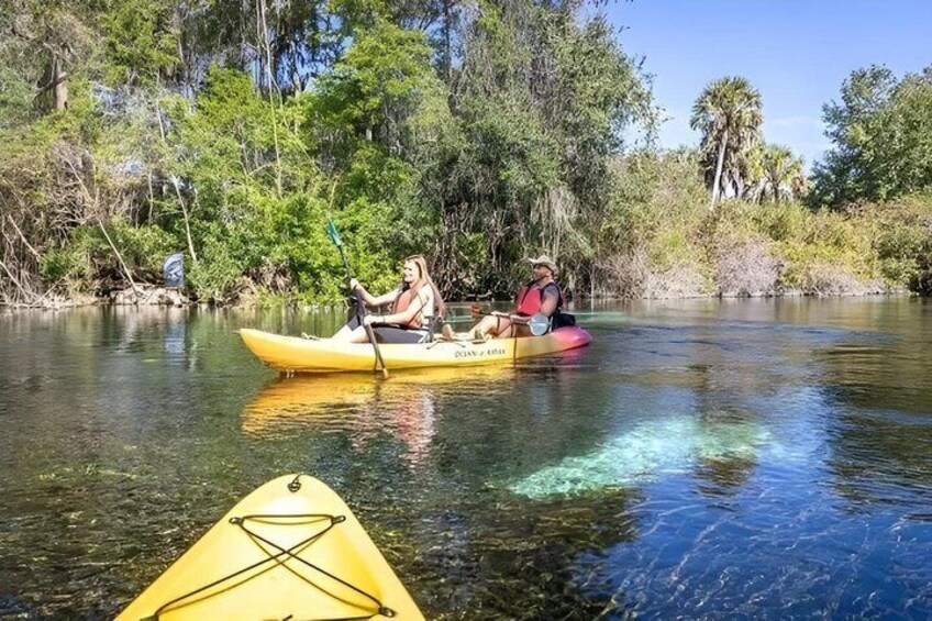 Single Guided Kayak Tour at Weeki Wachee 1