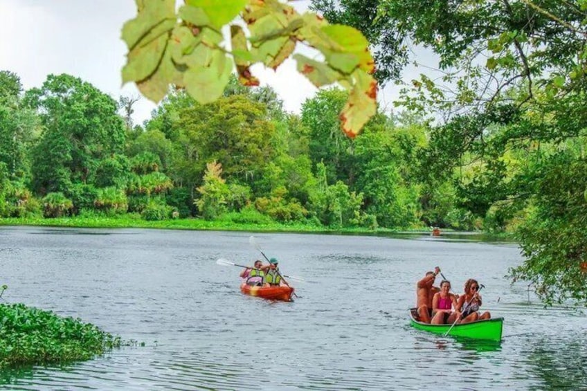 Guided Canoe Tour at Wekiwa Springs 1
