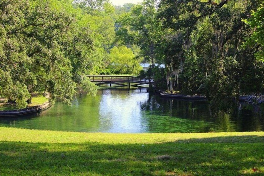 Paddle Board Tour at Wekiwa Springs 3