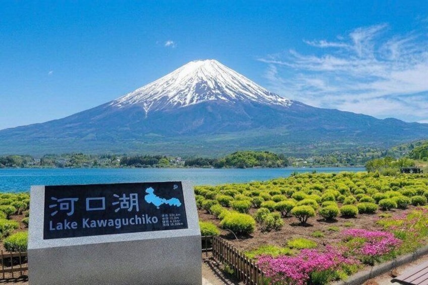 Mount Fuji Private Tour with English Speaking Guide 4