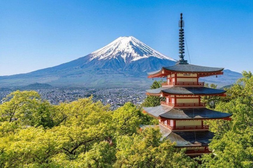Mount Fuji Private Tour with English Speaking Guide 1