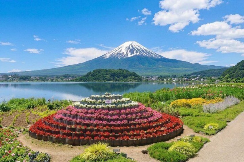 Mount Fuji Private Tour with English Speaking Guide 3