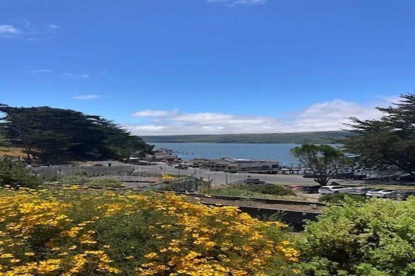 Crabbing Adventure at Tomales Bay 3