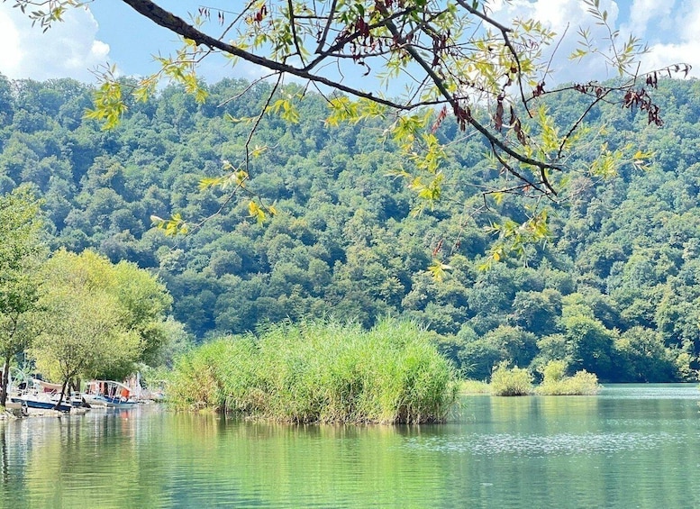 Picture 1 for Activity From Baku: Gabala Day Trip with Lake and Waterfall 2