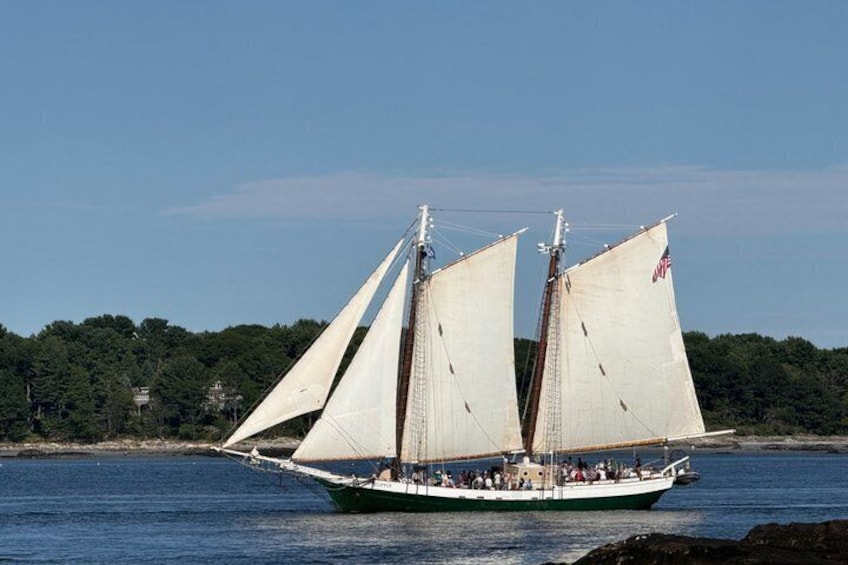 Two Hour Scenic Sail on the Liberty Clipper 1