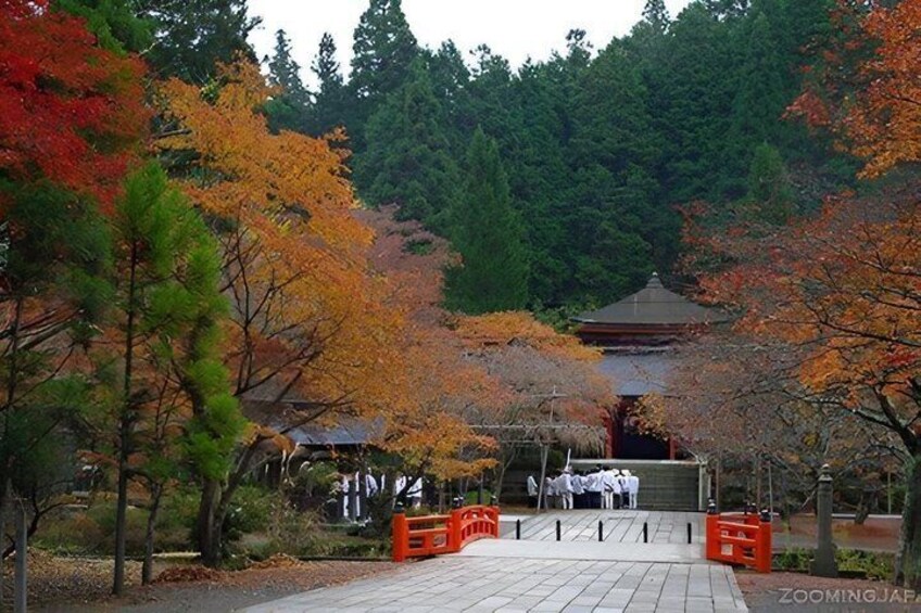 A traditional Japanese temple surrounded by autumn foliage. 2