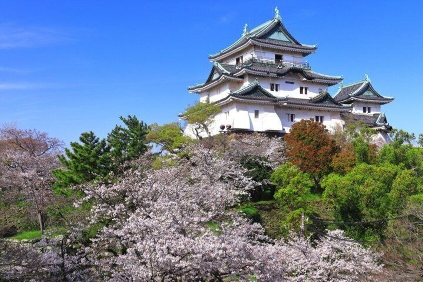 A traditional Japanese castle with multiple tiers, surrounded by blooming cherry trees. 4