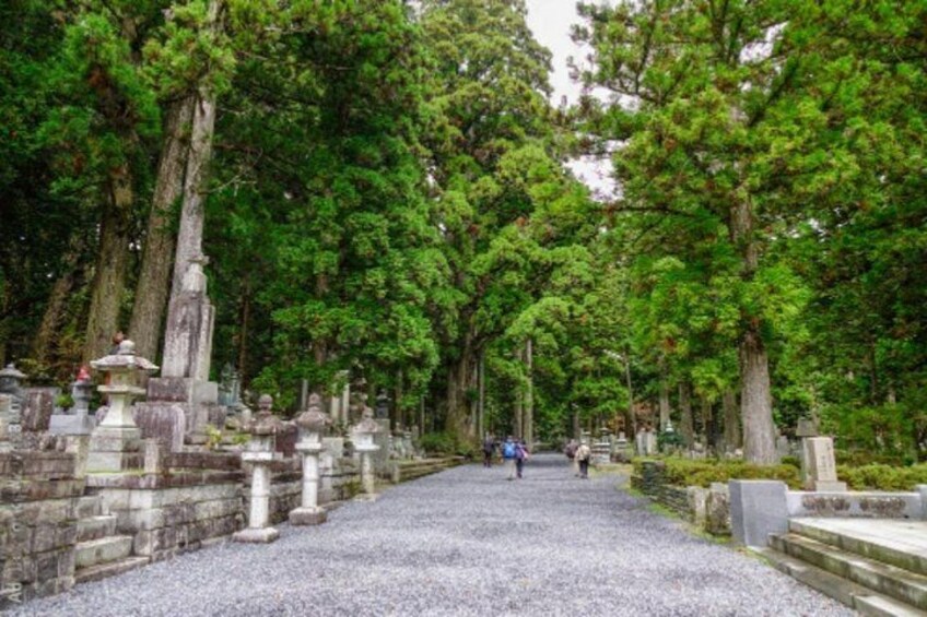 Un cementerio con lápidas y árboles. 4