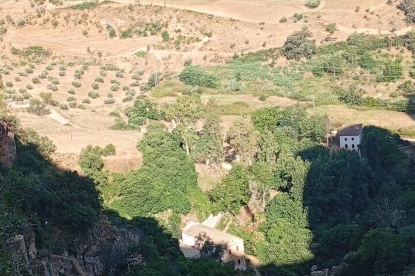 A rural landscape with a white building surrounded by dense greenery and terraced fields. 5
