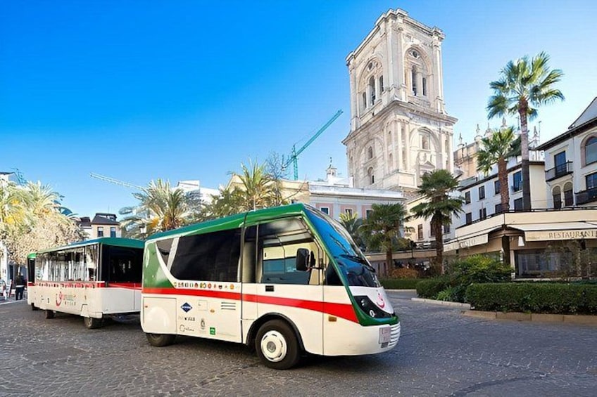 A city street with buses, palm trees, and a historic building in the background. 2
