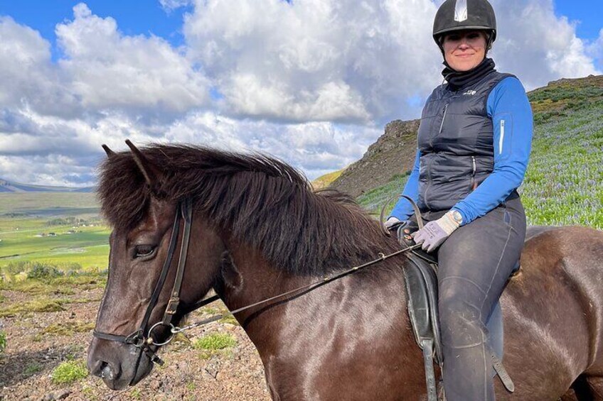 2 hours Private Horse Riding to Lake Hafravatn, Reykjavík - Mos 5