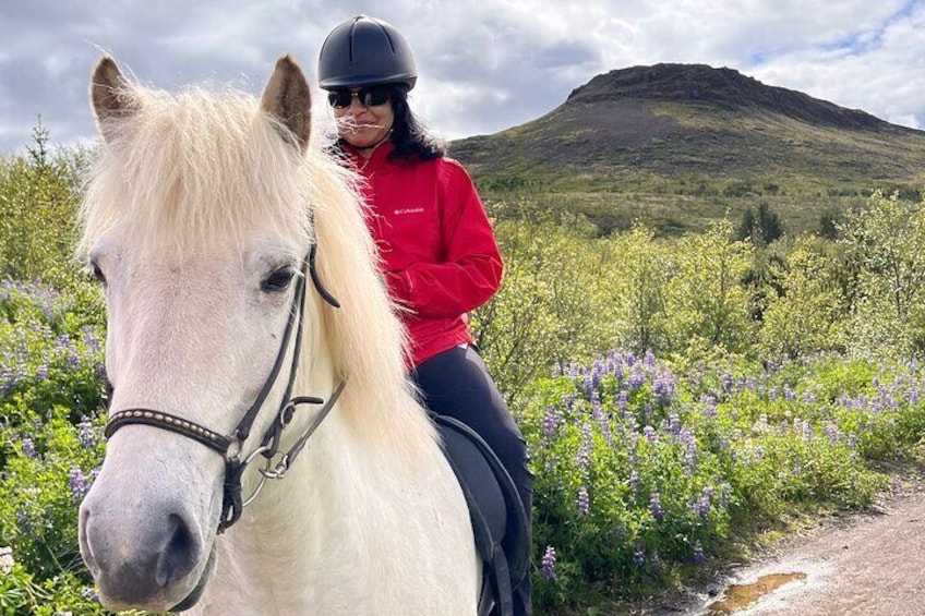 2 hours Private Horse Riding to Lake Hafravatn, Reykjavík - Mos 1