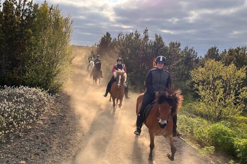 2 hours Private Horse Riding to Lake Hafravatn, Reykjavík - Mos 4