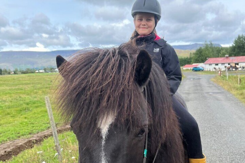 2 hours Private Horse Riding to Lake Hafravatn, Reykjavík - Mos 3