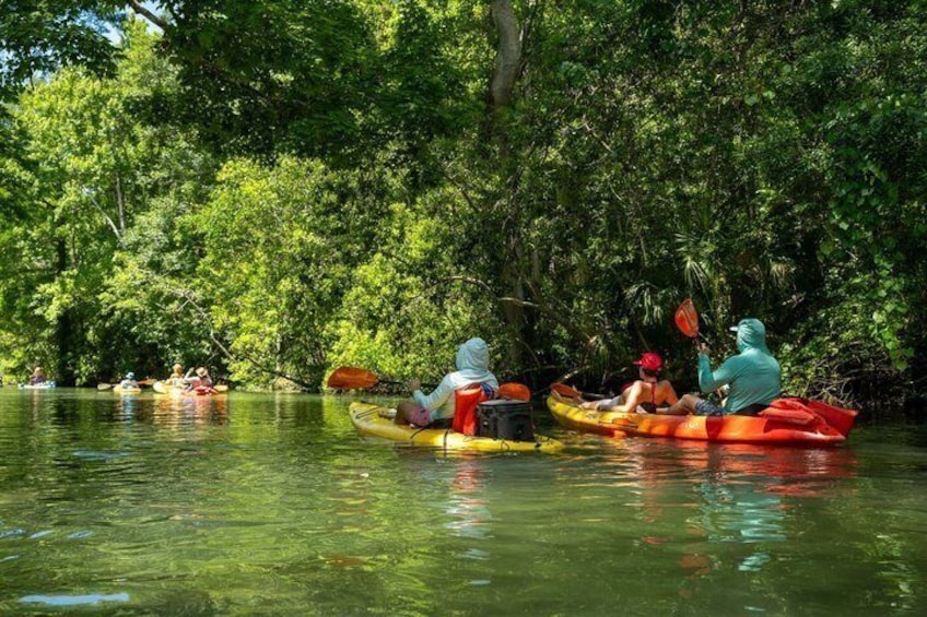 Private All‑Inclusive Weeki Wachee Springs Kayaking and Manatees 2