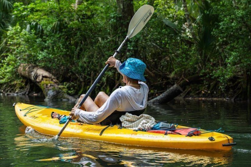 Private All‑Inclusive Weeki Wachee Springs Kayaking and Manatees 1