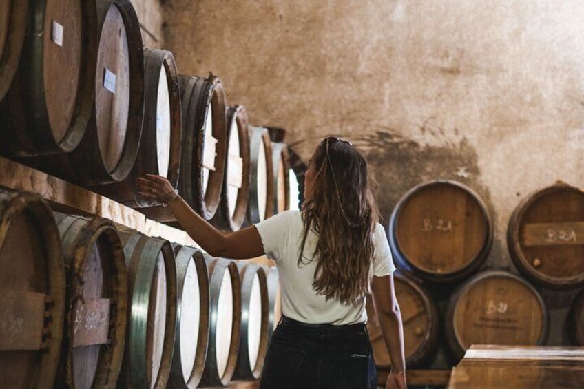 Picnic Winemaker 3