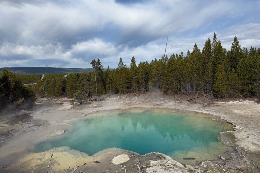 A geothermal hot spring surrounded by forest. 2