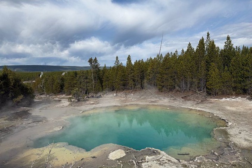 A geothermal hot spring surrounded by forest. 4