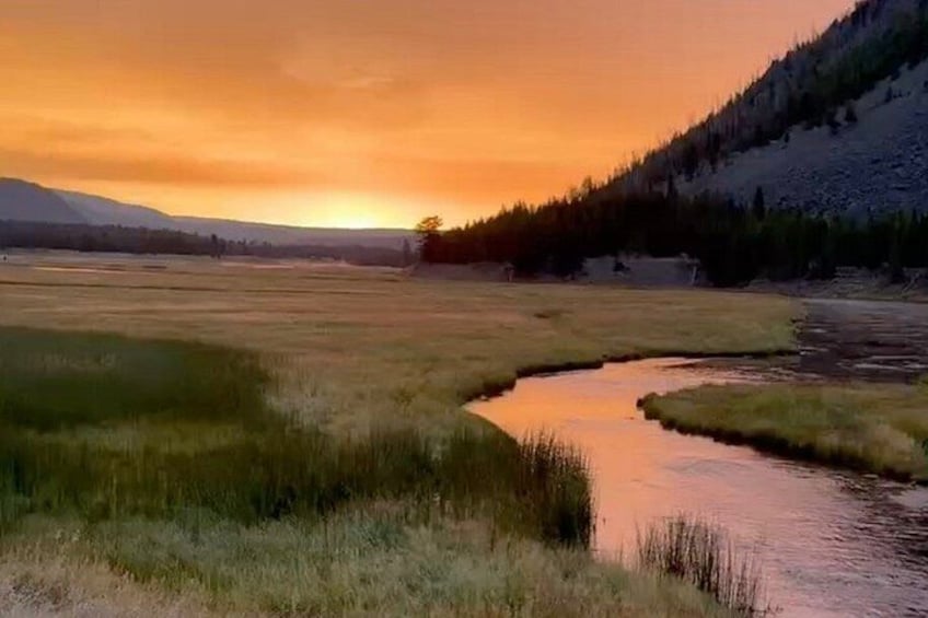 A river meandering through a grassy field with a forested hillside in the background. 2