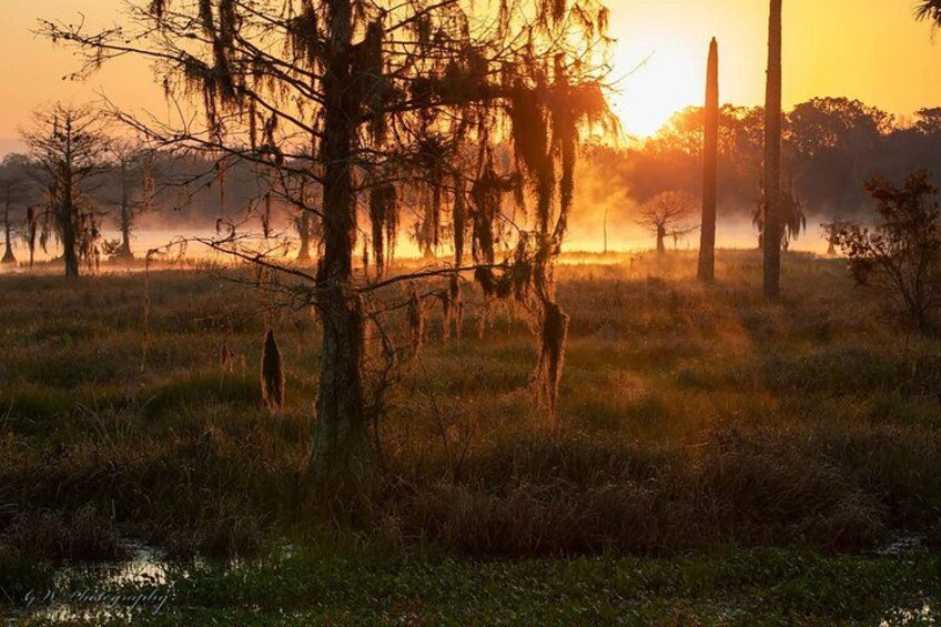 A sunset over a grassy field with trees and a clear sky. 2